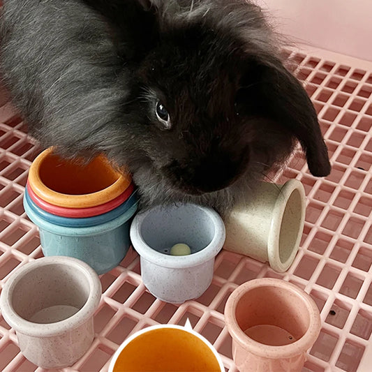 Coupelles empilables multicolores